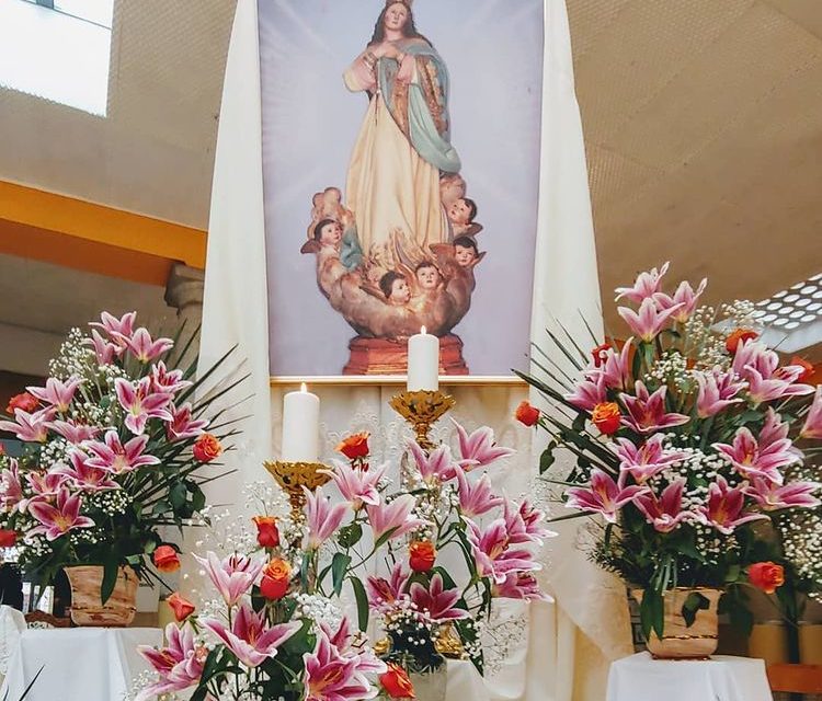 (Español) Celebrando a la Inmaculada Concepción